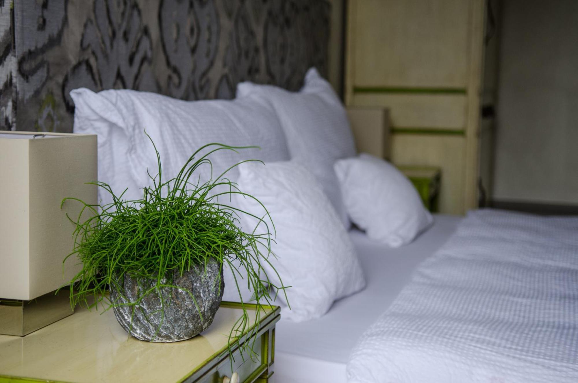 La Maison D'igor Hotel Morges